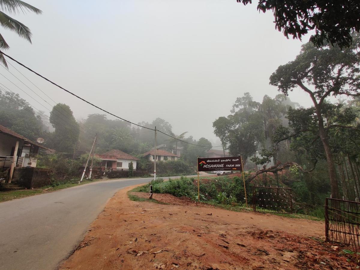 Hosamane Farm Inn Sringeri Exterior foto